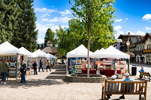 art in the park ws