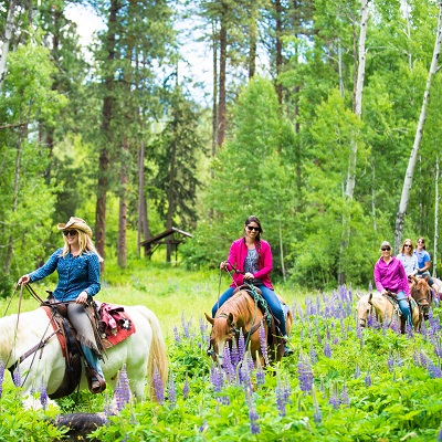 Wild At Heart Horse Rides