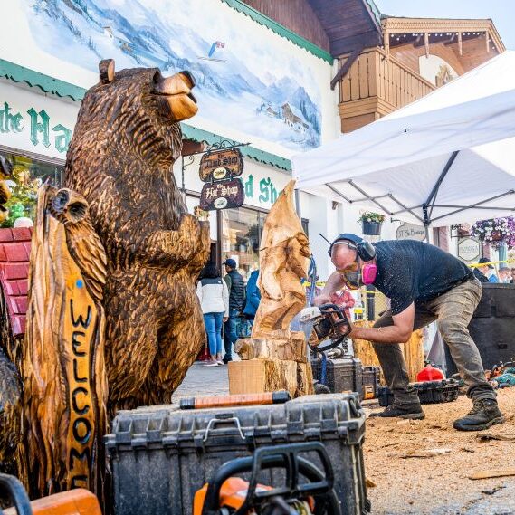 Chainsaw Carving Maifest resized