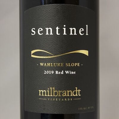 2019 Sentinel