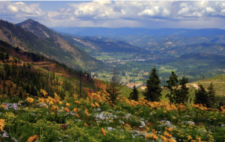 Screenshot 2026-03-31 at 4.54.20 PM